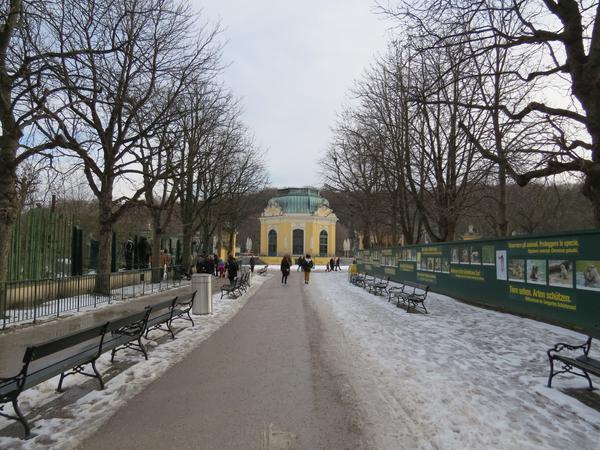 Долгожданная встреча с Пандами:) Долгожданная встреча с Пандами:)