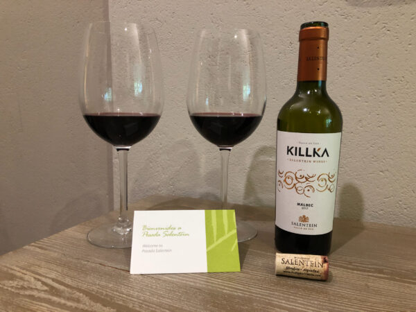 Аргентина, ч.5: Мендоса&nbsp;&mdash; край вина и&nbsp;гор, январь 2020