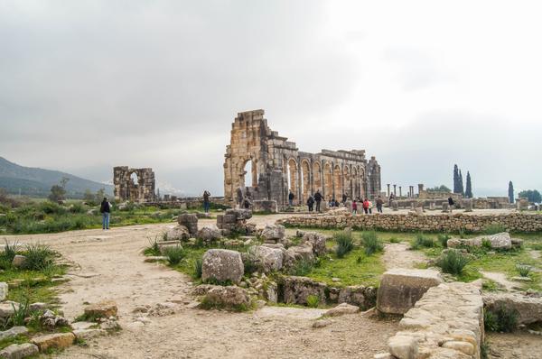 Volubilis Volubilis