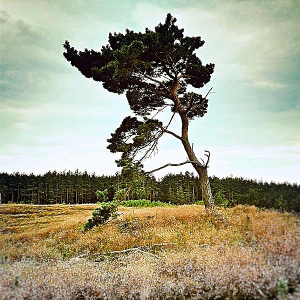 Klaipeda. July 2-3, 2016