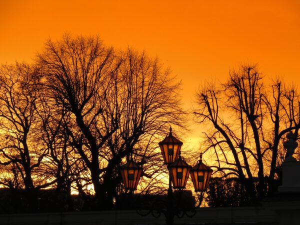 Вена и&nbsp;окрестности, анонсик