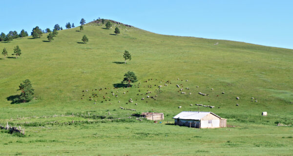 Монголия. До&nbsp;Улан-Батора с&nbsp;ветерком.