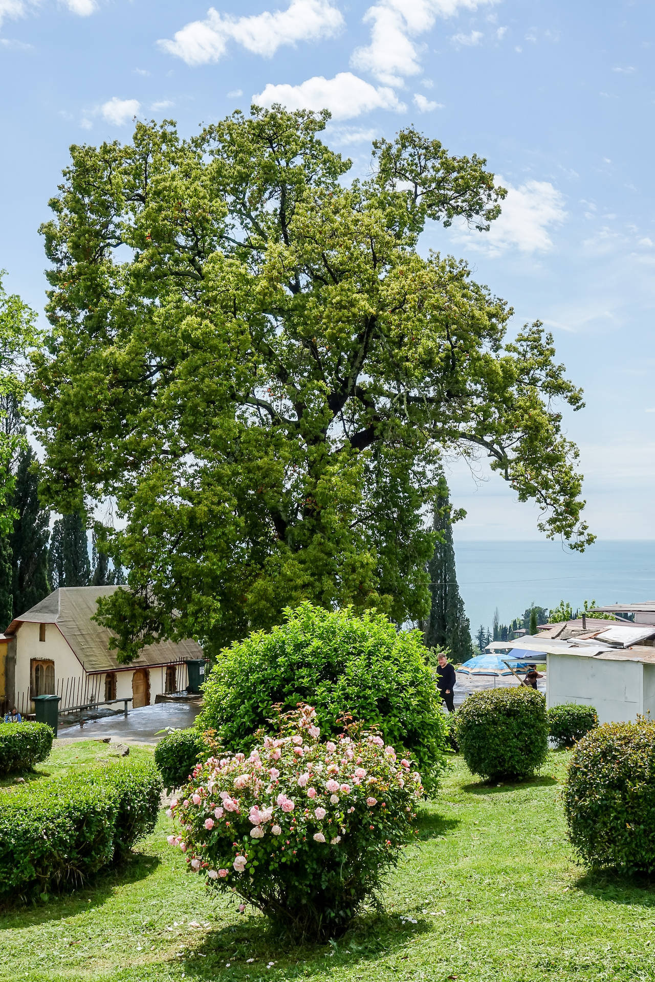 Абхазия. Новый Афон. Часть 1