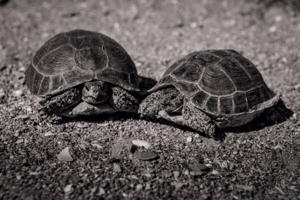 Мангышлак Часть 6 Жыгылган Мангышлак Часть 6 Жыгылган