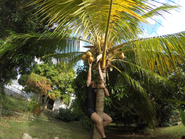 Jamaica