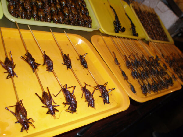 Китай. Пекин: Ночной рынок Дунхуамэнь