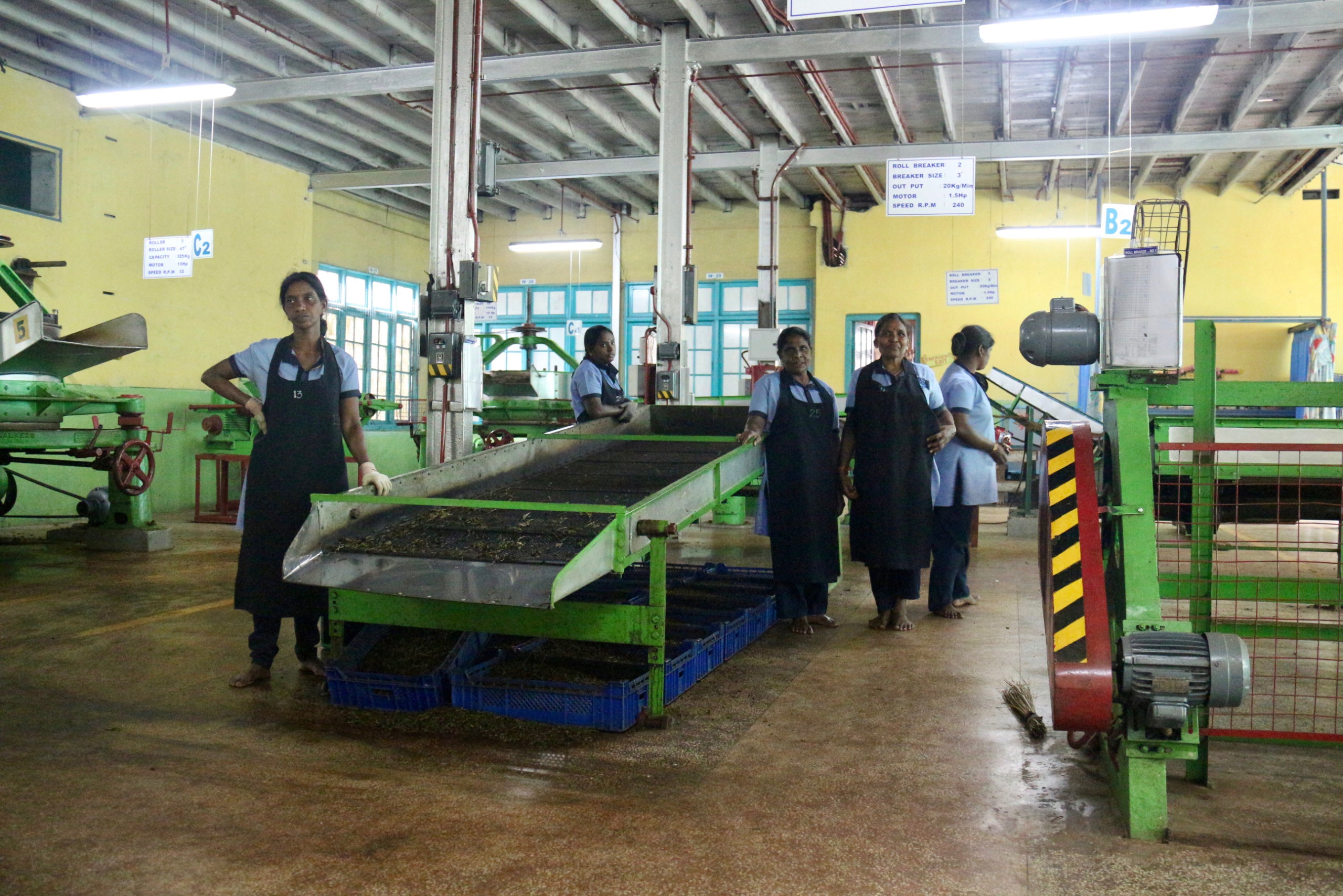 Blue Field Tea Factory.