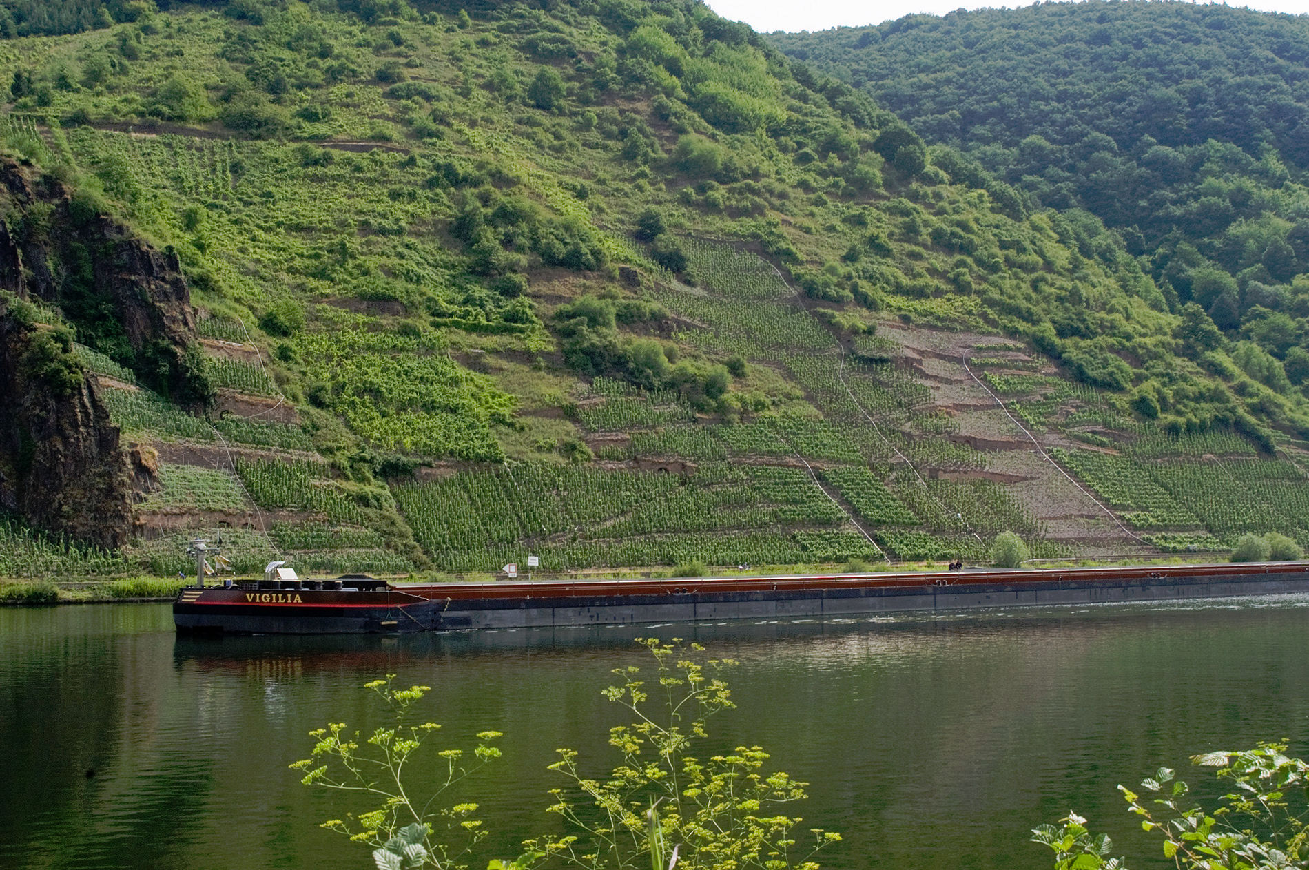 Мозель, Шампань, Аквитания 2010