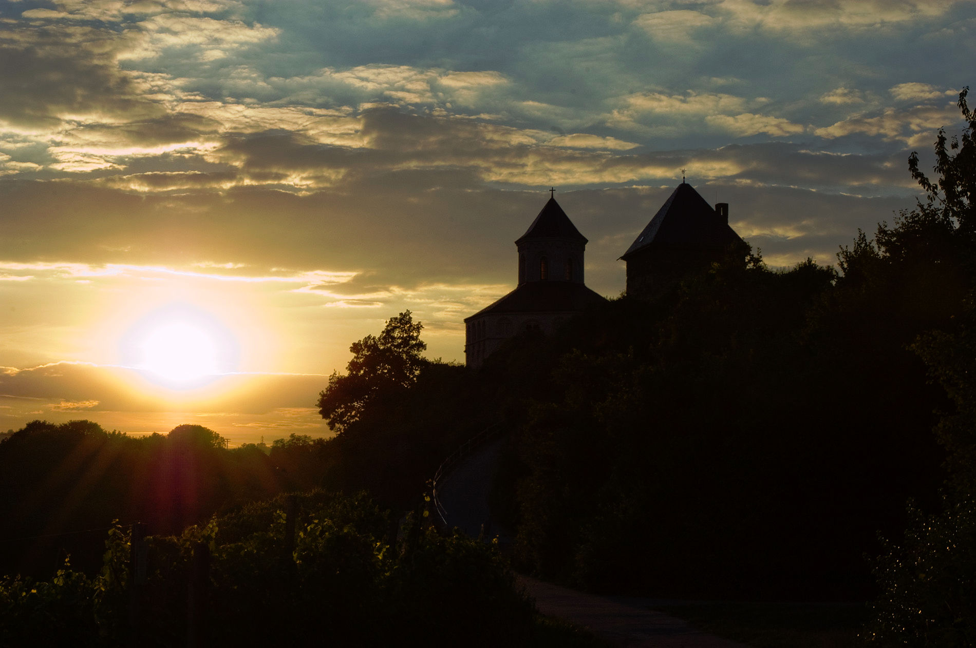 Мозель, Шампань, Аквитания 2010