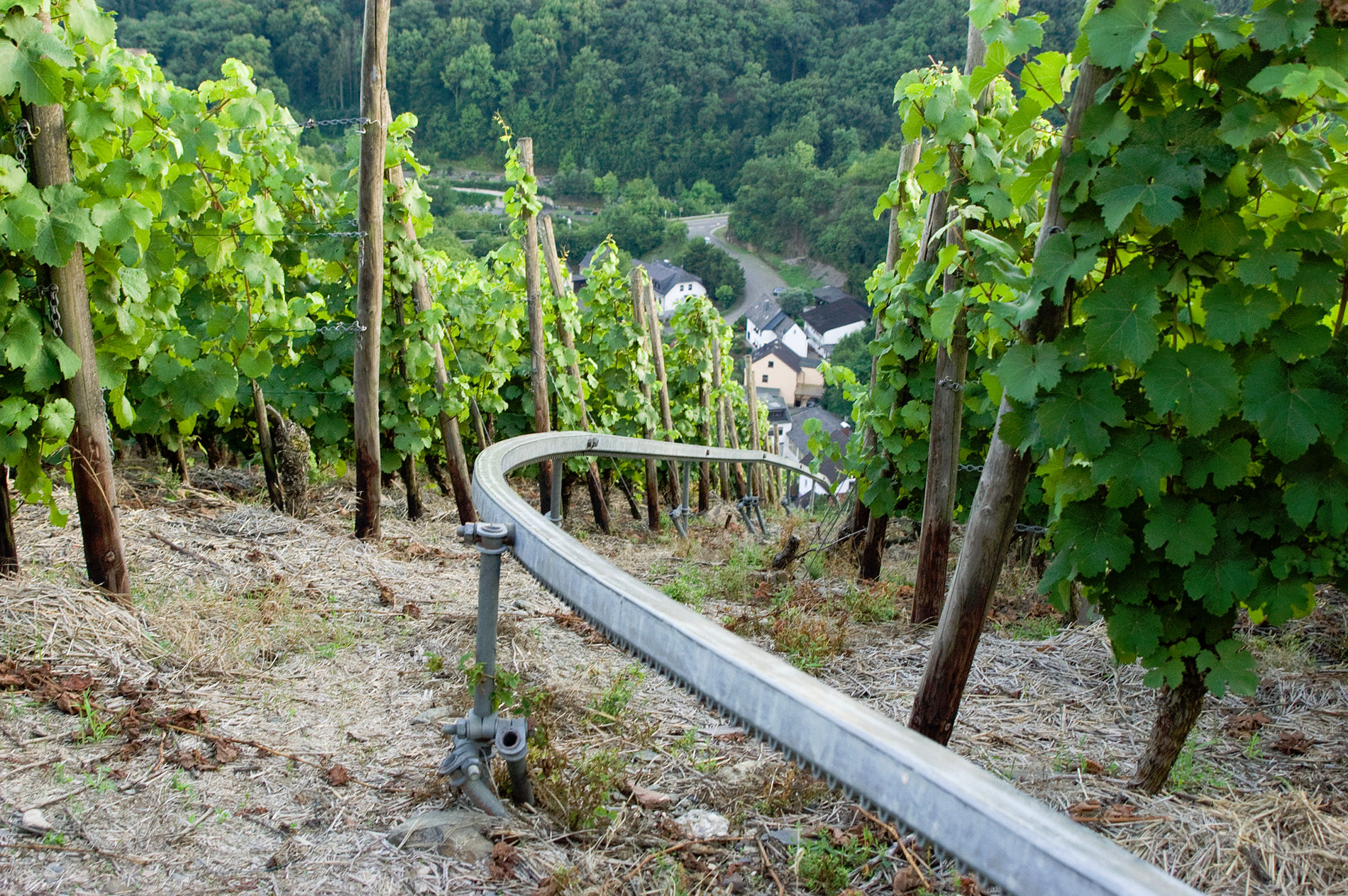 Мозель, Шампань, Аквитания 2010